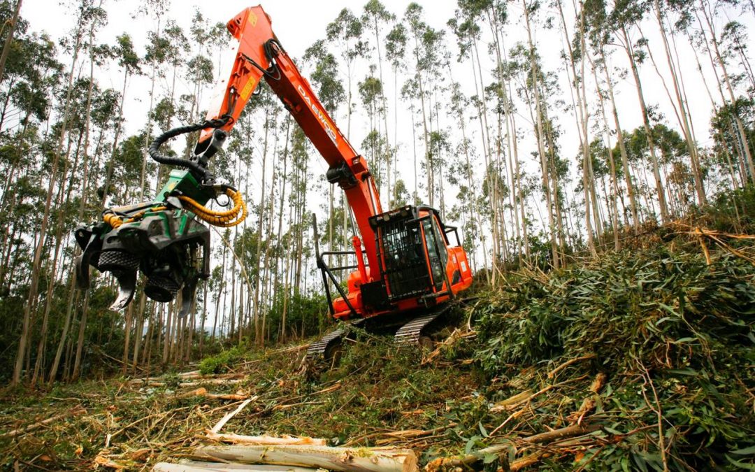 Ayudas para las inversiones en tecnologías forestales, transformación, movilización y comercialización de productos forestales 2017