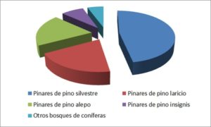 sector madera y mueble coníferas navarra