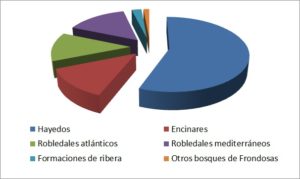 sector madera y mueble frondosas navarra