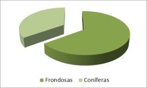 sector madera y mueble frondosas y coniferas navarra