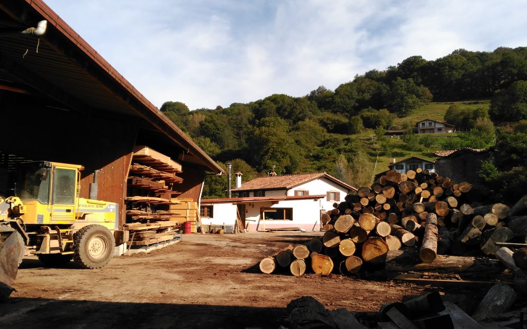 Los profesionales del futuro del Sector de la Madera