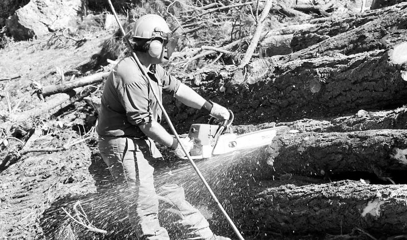 ADEMAN impulsa un proyecto colaborativo para fomentar la cultura preventiva en el sector forestal