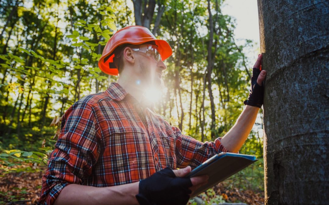 18 OBLIGACIONES PREVENTIVAS EN APROVECHAMIENTOS FORESTALES PARA EMPRESAS DEL SECTOR