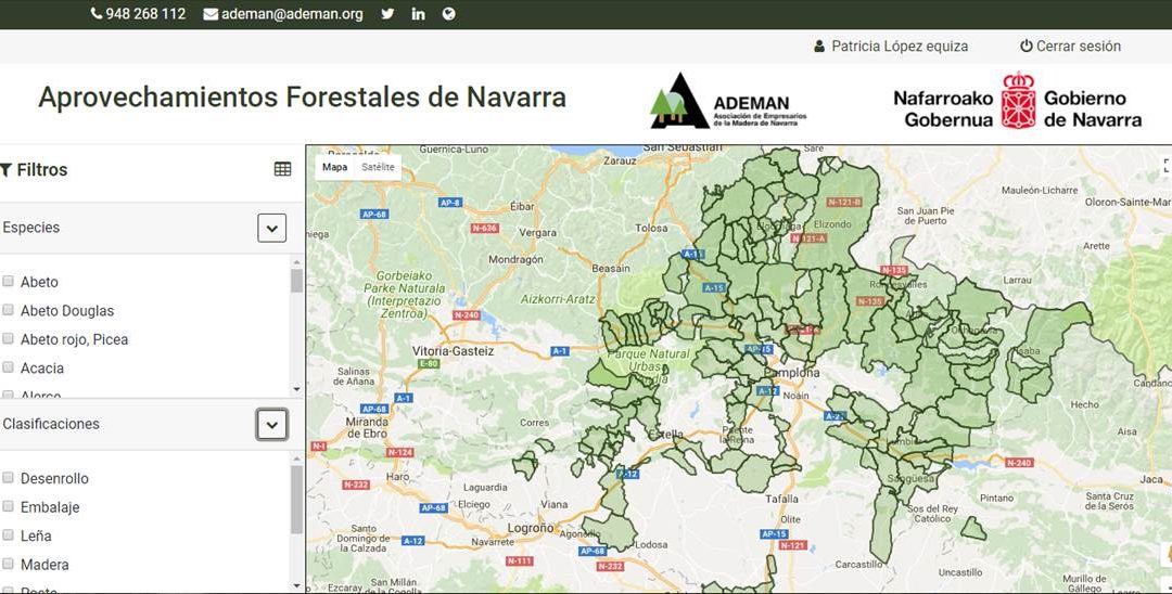 Presentamos MADERA NAVARRA, mucho más que una web para conocer los aprovechamientos forestales de Navarra.