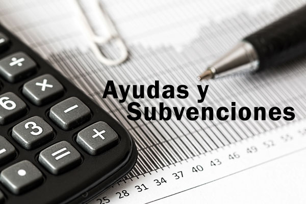 Agenda de Ayudas y Subvenciones 2020