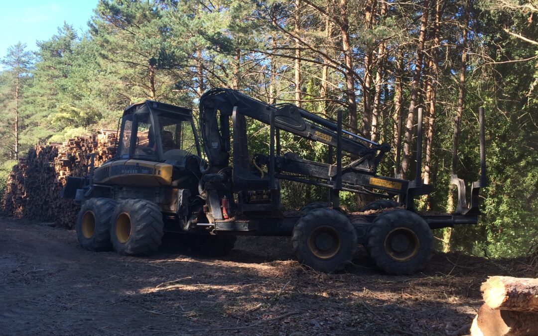 Ayudas para las inversiones en tecnologías forestales, transformación, movilización y comercialización de productos forestales año 2020