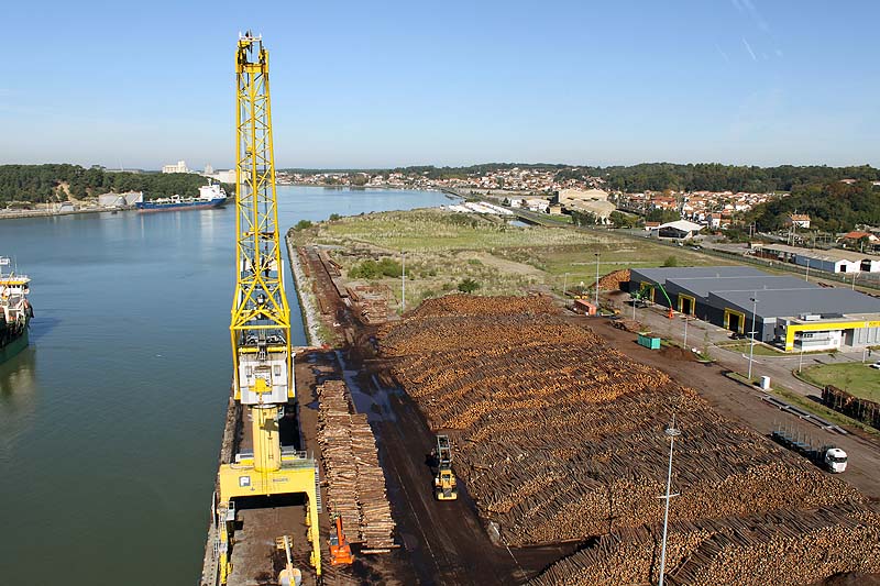 ADEMAN visita el puerto de Bayona, especializado en  importación y exportación de madera