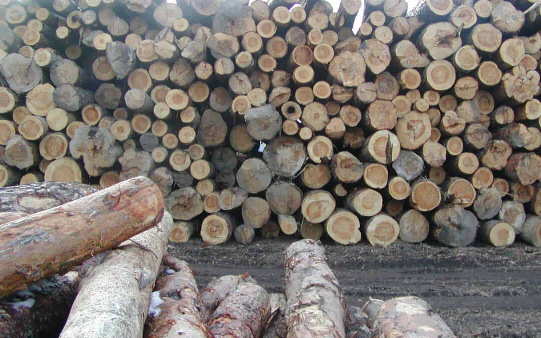 El impacto del Covid-19 en el mercado europeo de la madera