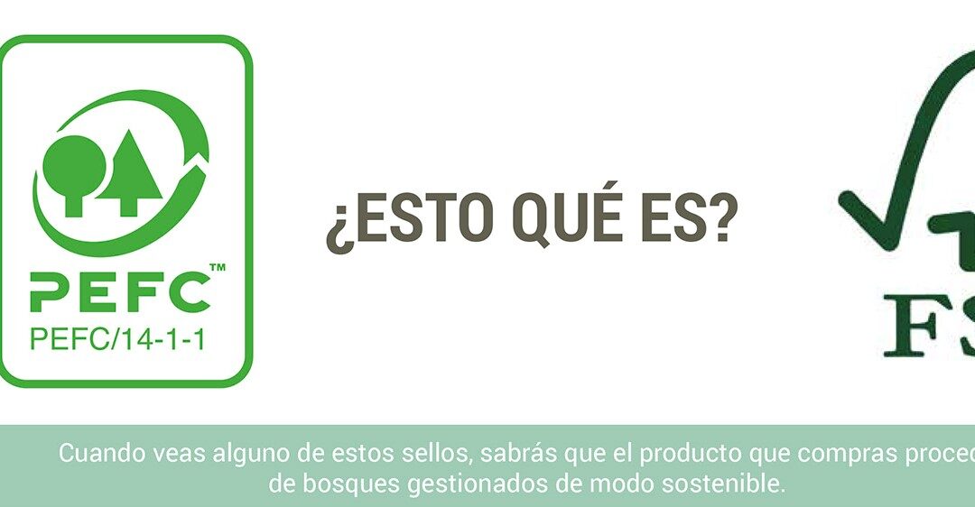 Construcción con madera en altura: principales especies utilizadas y su origen.