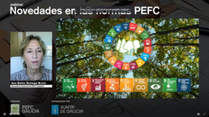 Belén Noriega - Secretaria General de PEFC España