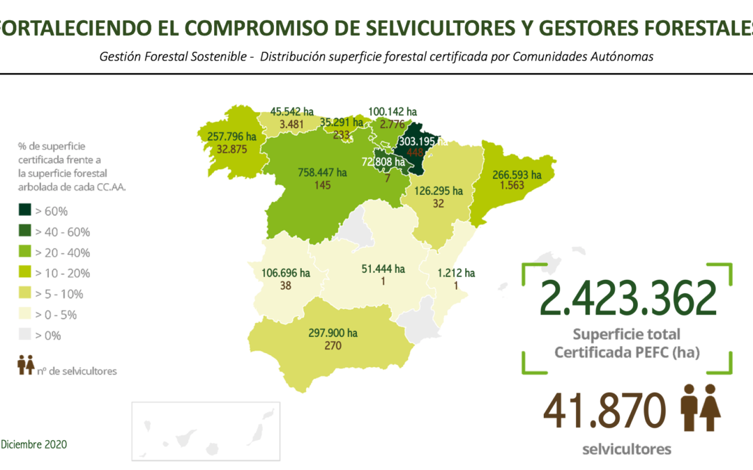 Navarra, la comunidad autónoma con mayor porcentaje de superficie forestal certificada