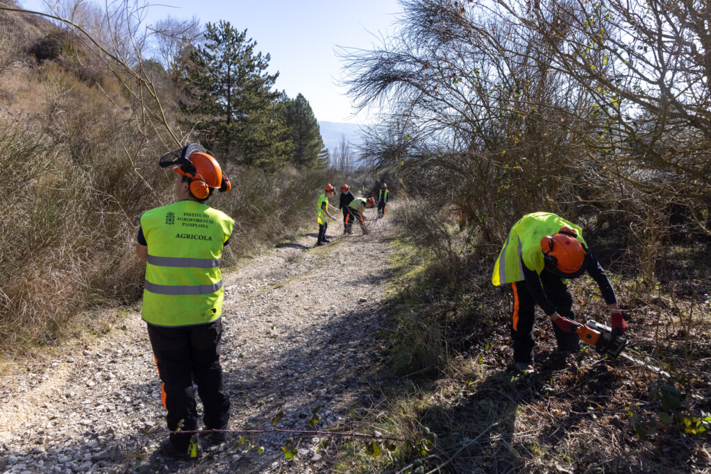 ADEMAN Y CI AGROFORESTAL TRABAJOS MONTE EZCABA