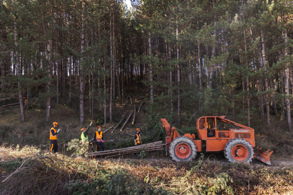 ADEMAN Y CI AGROFORESTAL EN EZCABA