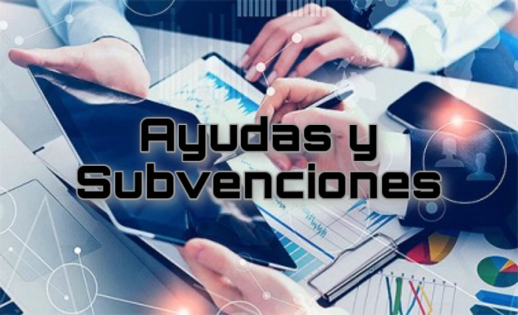 AYUDAS Y SUBVENCIONES DE NAVARRA