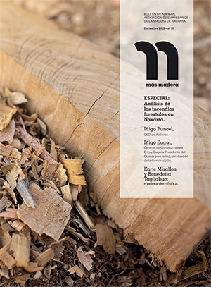 Revista +Madera 2022