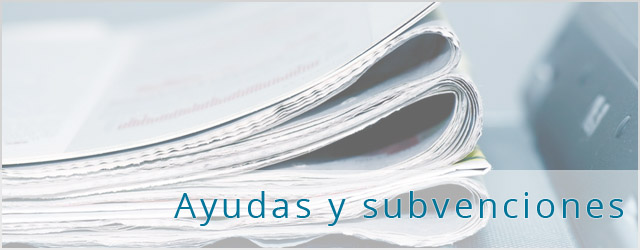 Agenda de ayudas y subvenciones año 2024