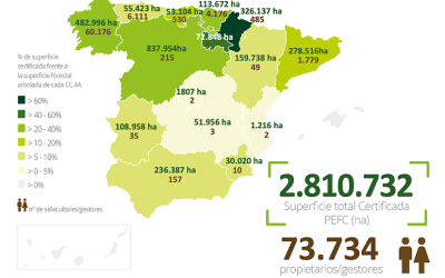 Publicado el informe PEFC del año 2024