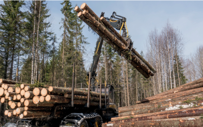 Nueva guía de gestión de riesgos laborales del sector forestal
