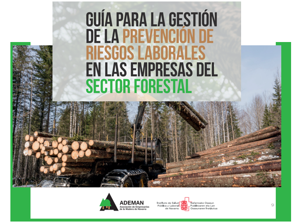 Presentación de la guía de prevención de riesgos