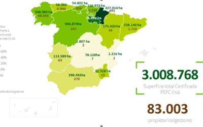 Publicado el informe PEFC del año 2025