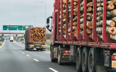 HABLAMOS CON… Santos Casajús, presidente de ANTMR