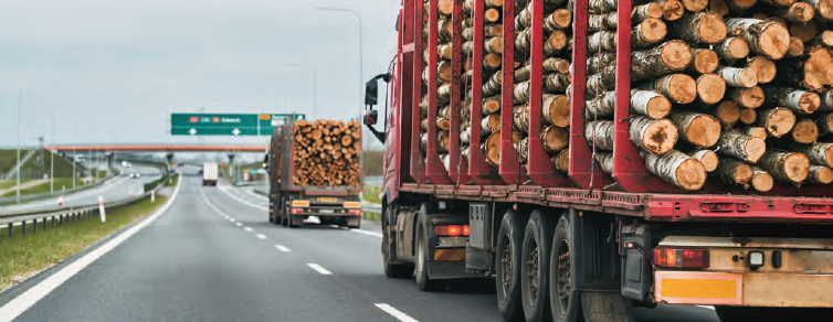 transporte 2025 toneladas