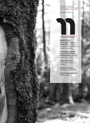Portada revista Más Madera 2025