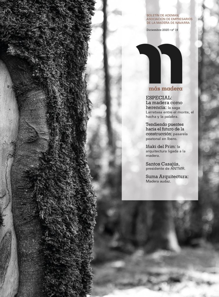 REVISTA ADEMAN MAS MADERA 2025