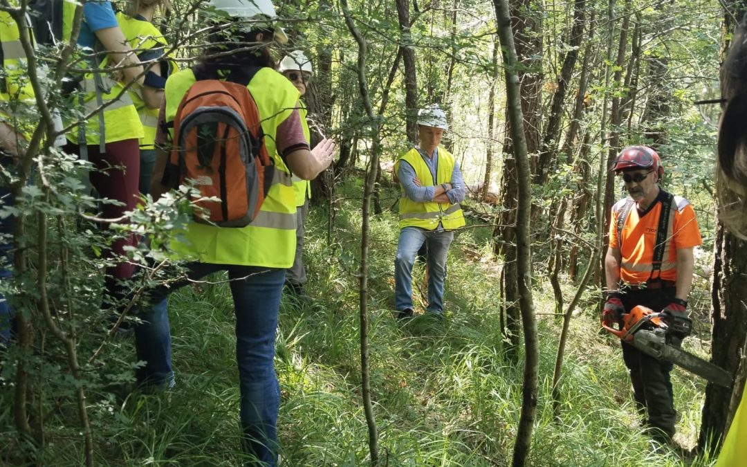 Formación, colaboración y seguridad en el sector forestal
